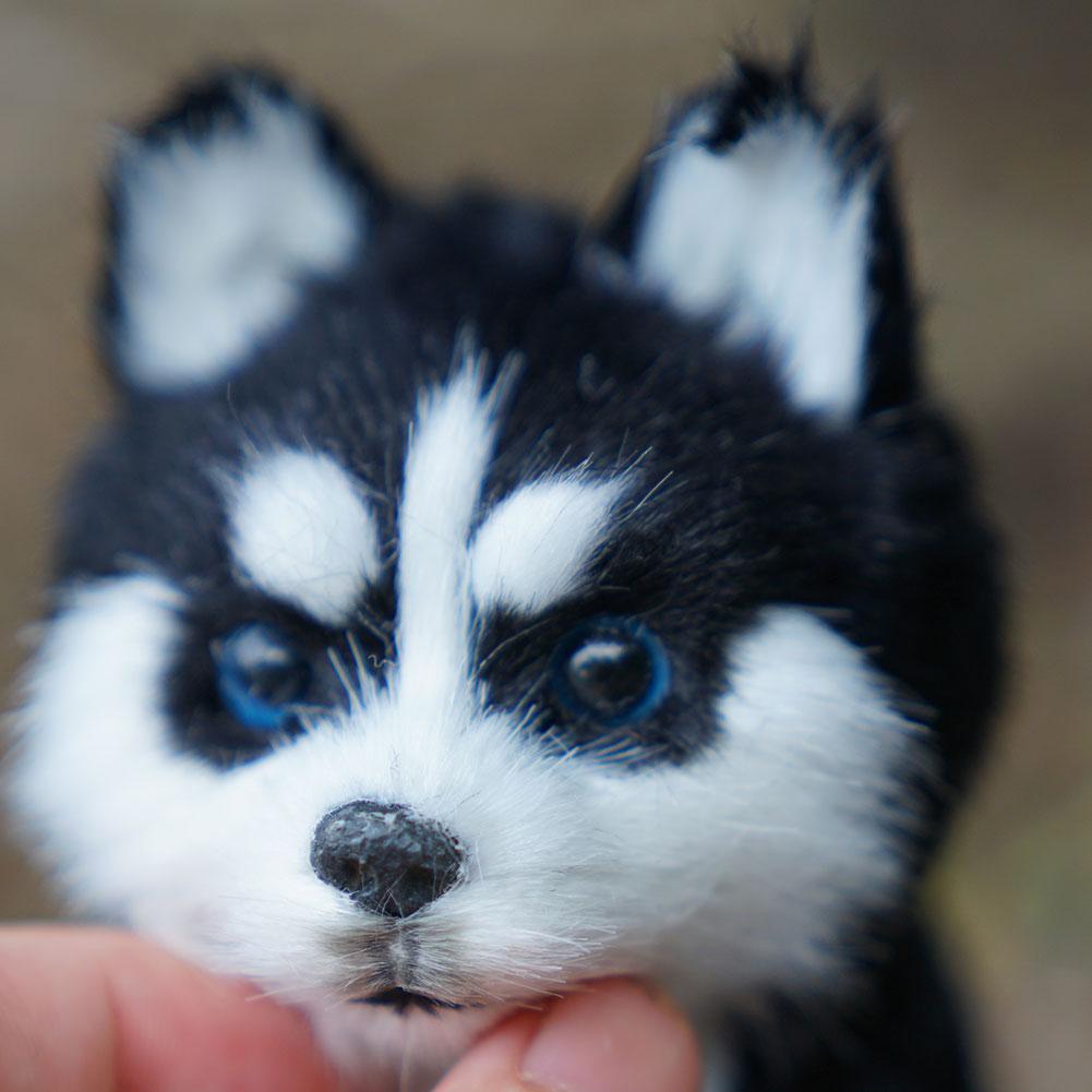 HUSKYLIA™ – Peluche Husky Réaliste